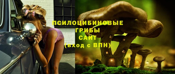 МДПВ Абинск